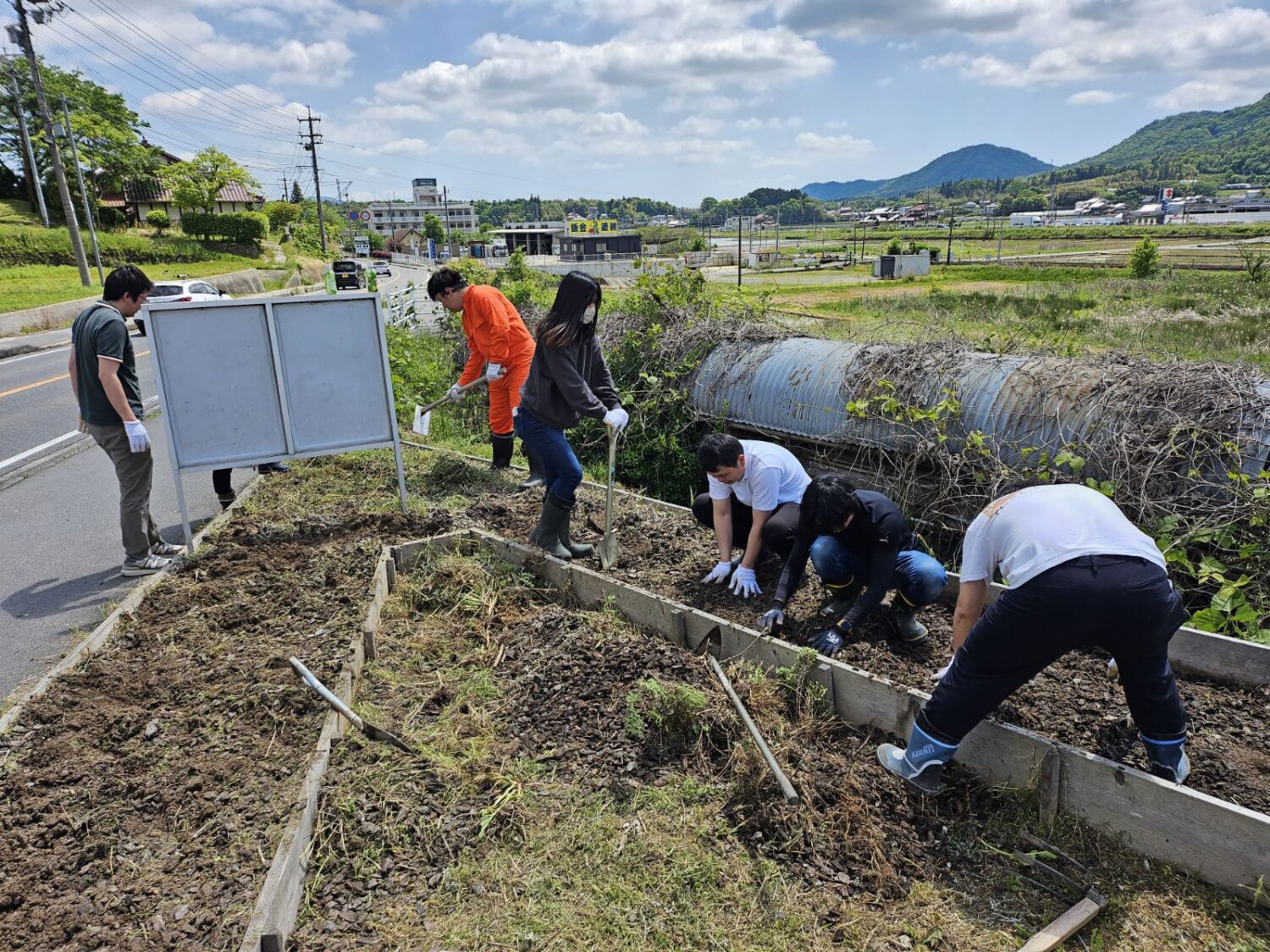 活動報告】9月のイベントに向けた準備！サツマイモ210本の苗植えが完了